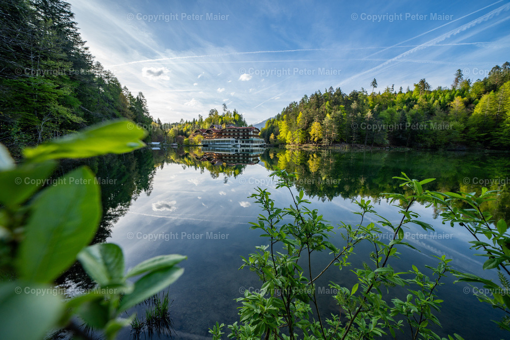 Tristachersee_Frühling-17 | piet_flosse