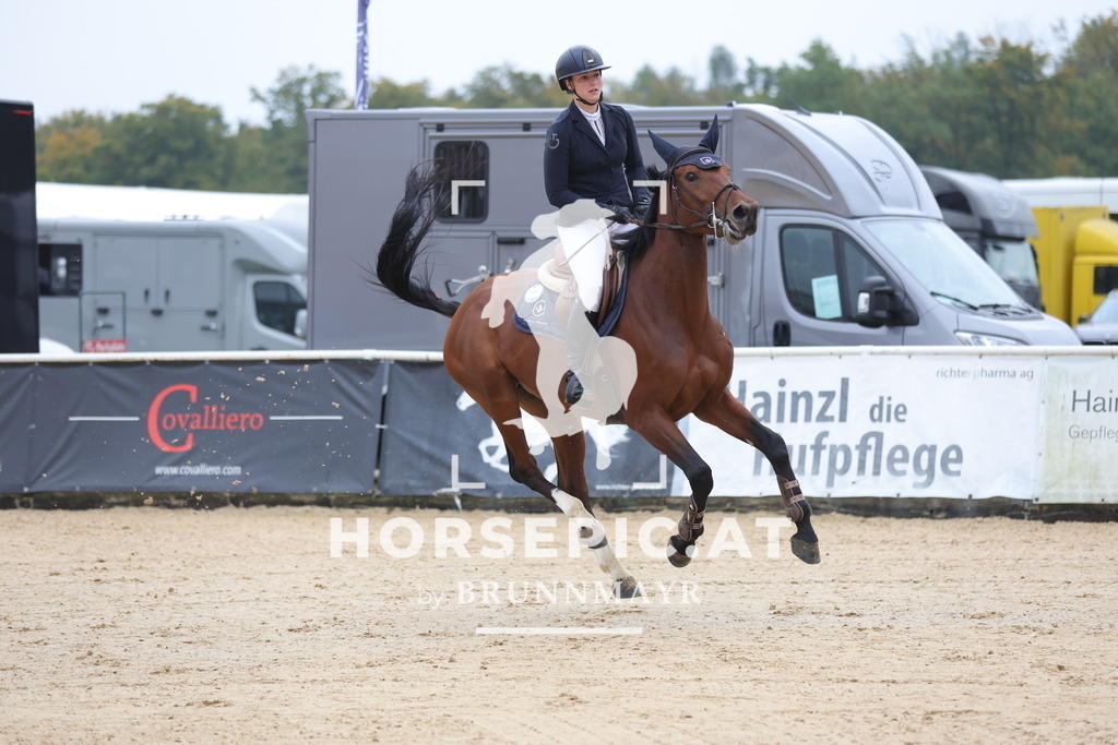 0P6A6761 | Willkommen bei Brunnmayr - Design & Fotografie – Ihrem Spezialisten für Reitturniere und Pferdeveranstaltungen in Oberösterreich, Salzburg und Bayern! Seit über 17 Jahren sind wir leidenschaftlich dabei.