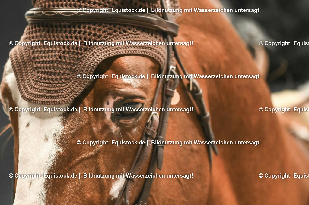 20231116_PREIS DER BARDUSCH GMBH_0100_TOMsPiC | Foto: Thomas Hartig