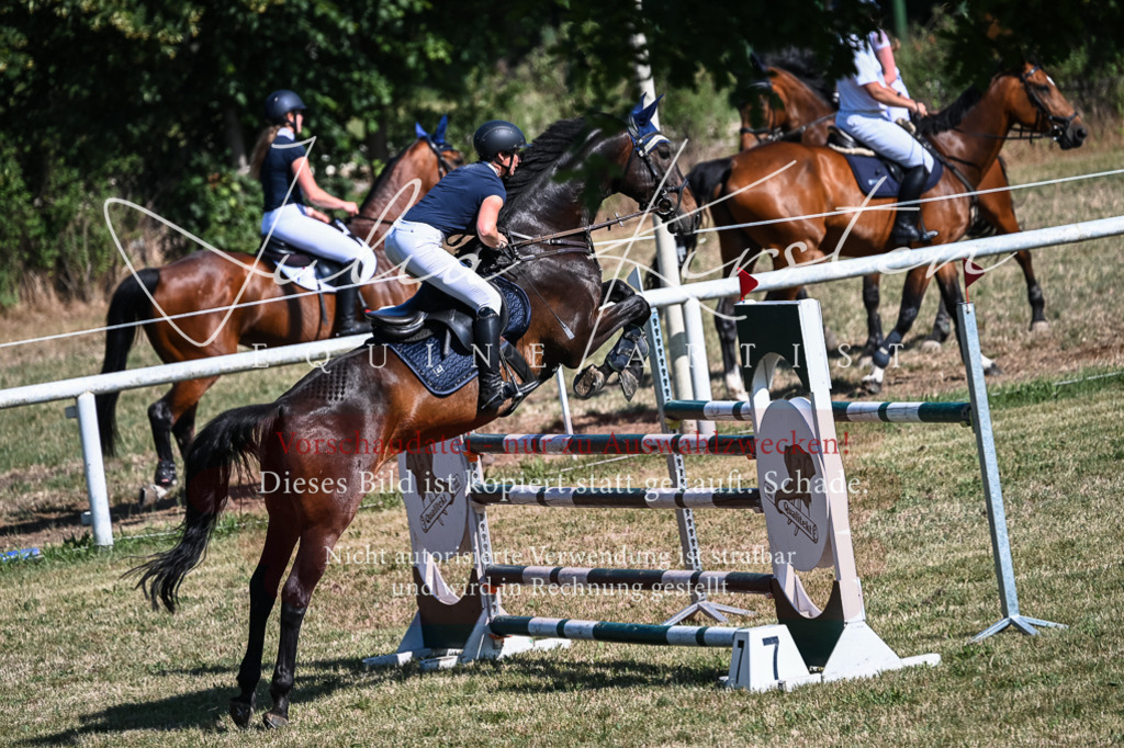 DSC_1842 | Pferde- und Turnierfotografie in Westsachsen. Pferdeportraits, Auftragszeichnungen und intuitive Kunst.