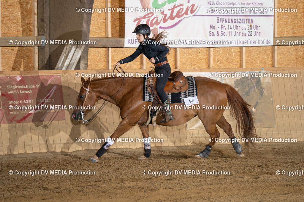 DSC00038 | dv-media-shop - Realisiert mit Pictrs.com