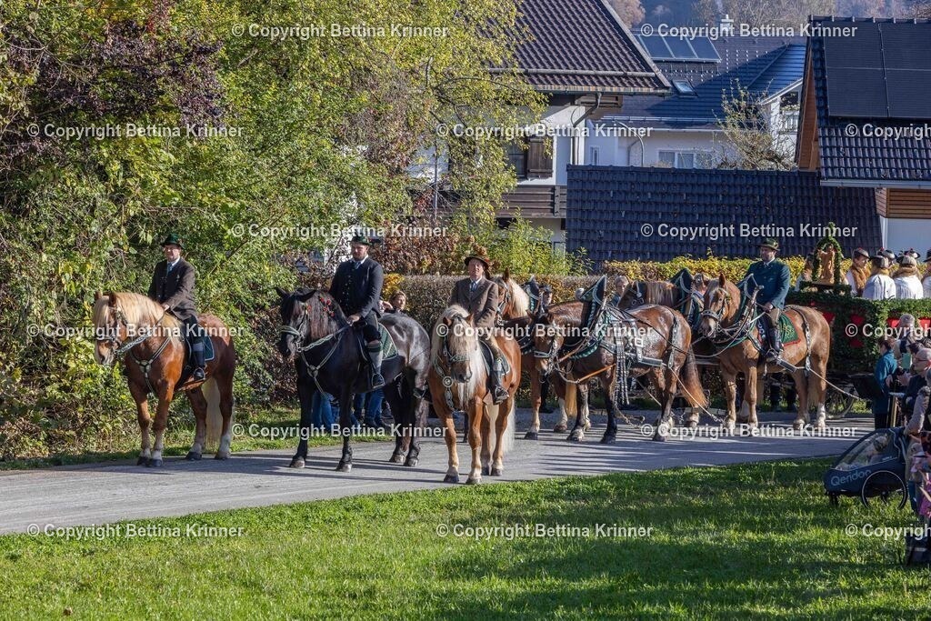 LBT24-231 | foto-bettina-krinner - Realisiert mit Pictrs.com