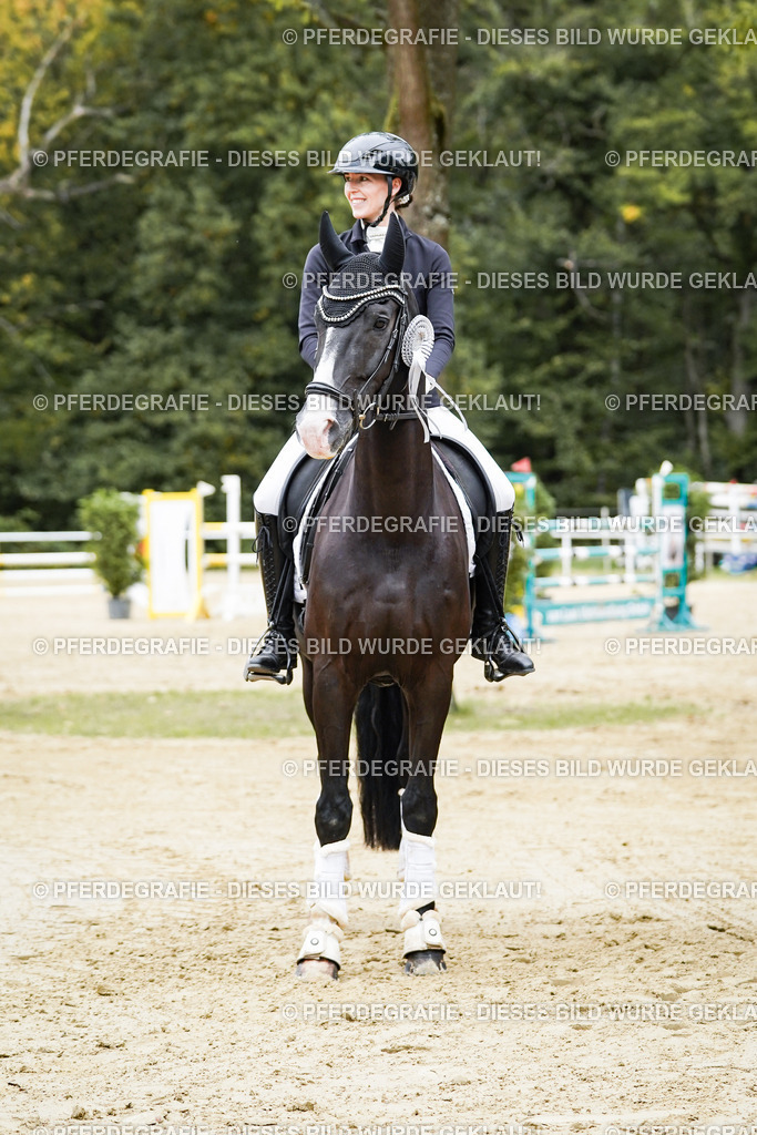 DSC02396 | Pferdegrafie