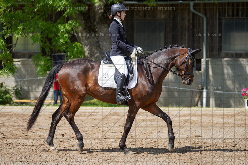 20240519-FAH05059 | Turnierbilder Niederseeon 2024, Vielseitigkeitsdressur, Reitsportbilder aus dem Landkreit Ebersberg, Gut Steinsee, RC Steinsee, Fotoagentur Herrmann