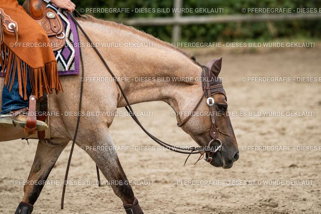 DSC02527 | Pferdegrafie