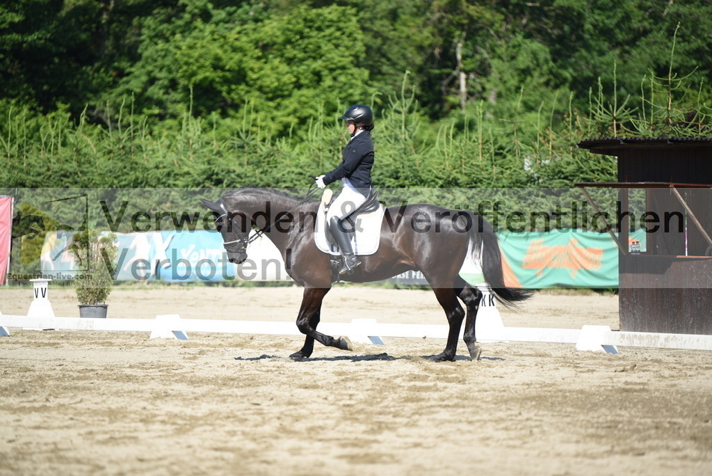 DSC_7505 | equestrian-live-com