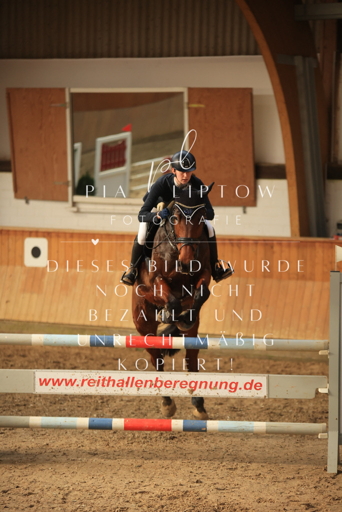 IMGT6433 | pl-fotografie