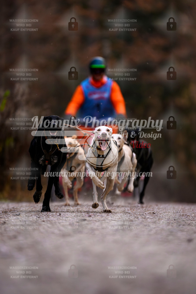 MompixPhotography_DM_AKDM_SO_2025_Wagen-8 | PayLife