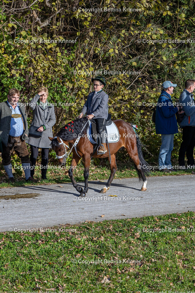 LBT24-819 | foto-bettina-krinner - Realisiert mit Pictrs.com
