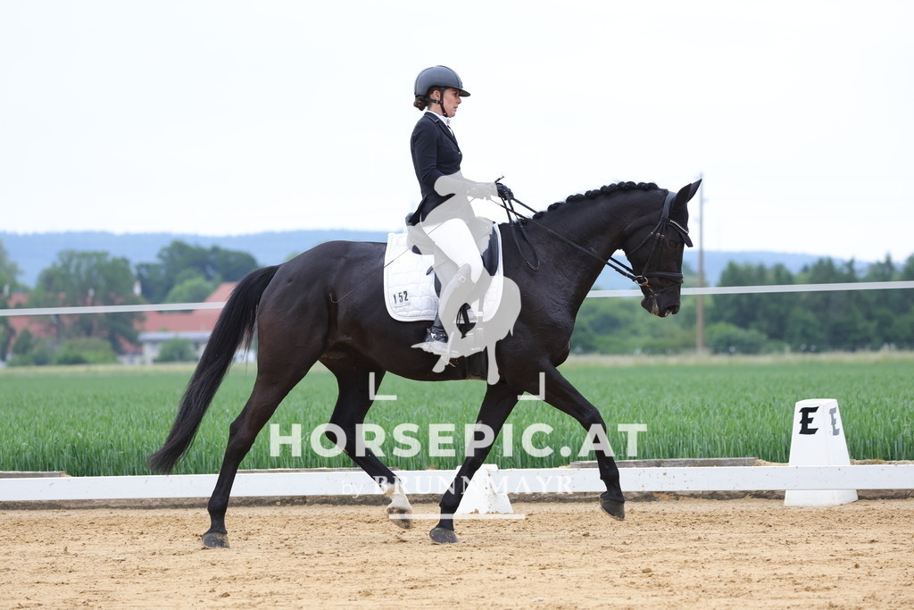 0P6A4841 | Willkommen bei Brunnmayr - Design & Fotografie – Ihrem Spezialisten für Reitturniere und Pferdeveranstaltungen in Oberösterreich, Salzburg und Bayern! Seit über 17 Jahren sind wir leidenschaftlich dabei.