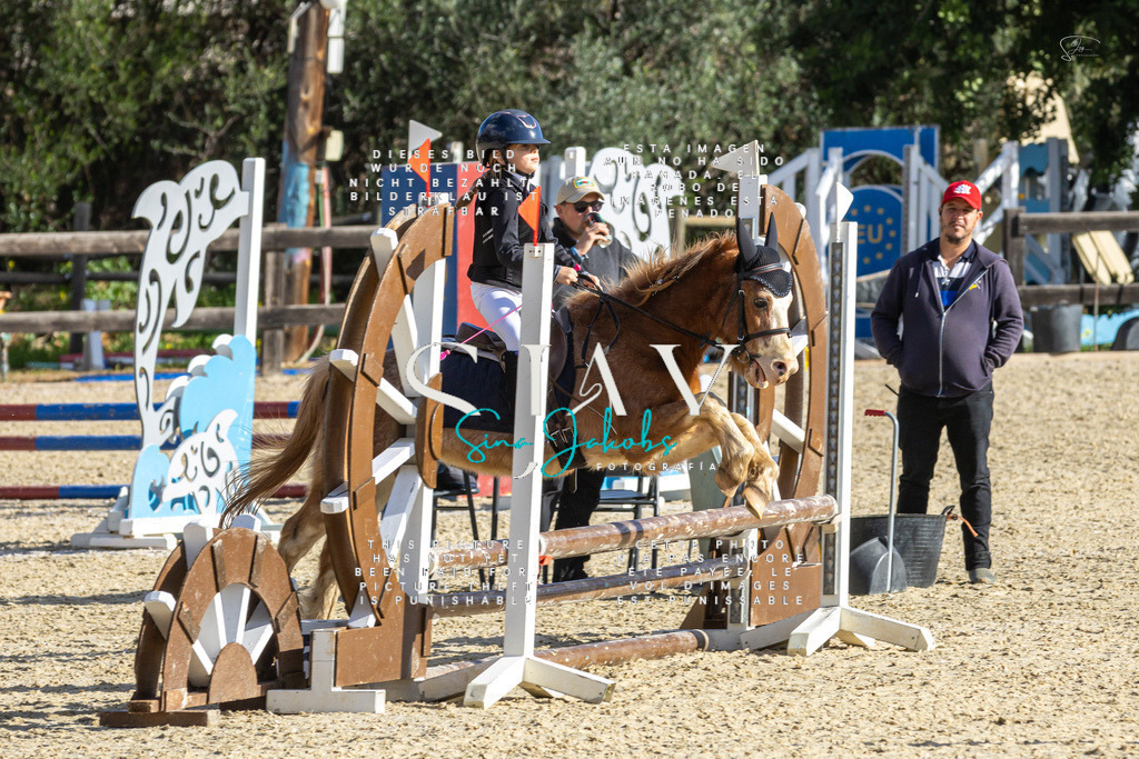 IMG_3537 | s-jay-photography - Realisiert mit Pictrs.com