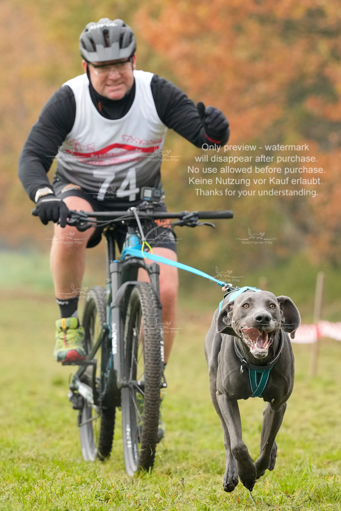 AusschnitteSa-133 | stephaniefillaphotographie - Realisiert mit Pictrs.com