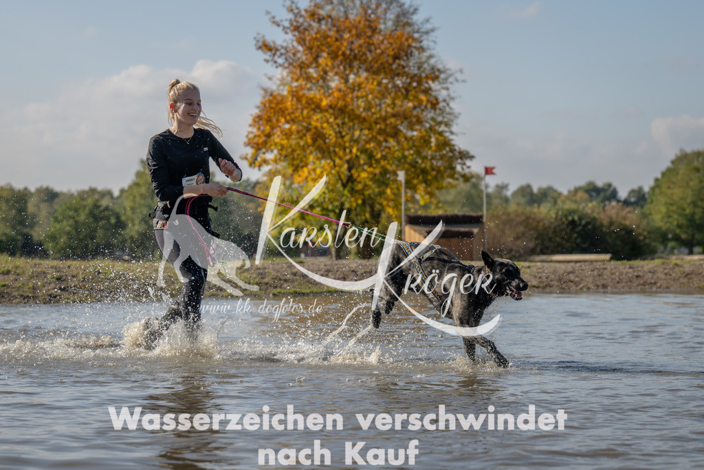 1416_ZZ91988 | kk-dogfotos