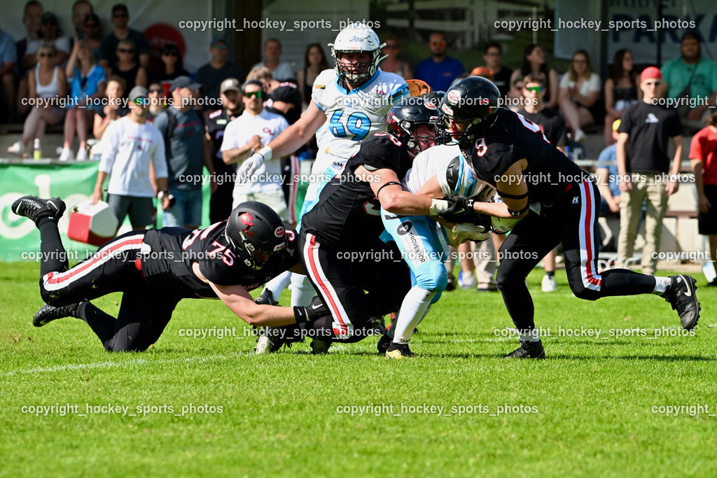 Carinthian Lions vs. Styrian Bears | Carinthian Lions vs. Styrian Bears, Carinthian Lions vs. Styrian Bears am 20.05.2024 in Klagenfurt (ASV Sportplatz), Austria, (Photo by Bernd Stefan)