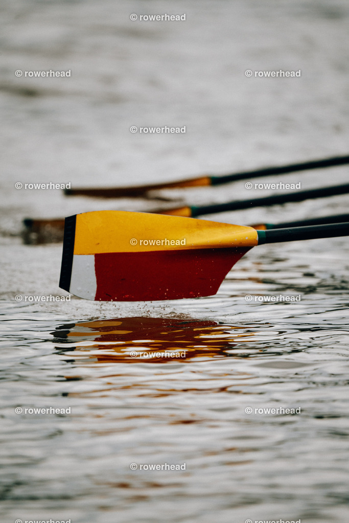 20241012_rowerhead_R13S_S0074_DSC02019 | rowerhead - Realisiert mit Pictrs.com