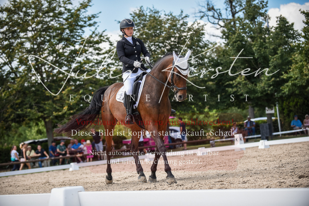 DSC_9284 | Pferde- und Turnierfotografie in Westsachsen. Pferdeportraits, Auftragszeichnungen und intuitive Kunst.