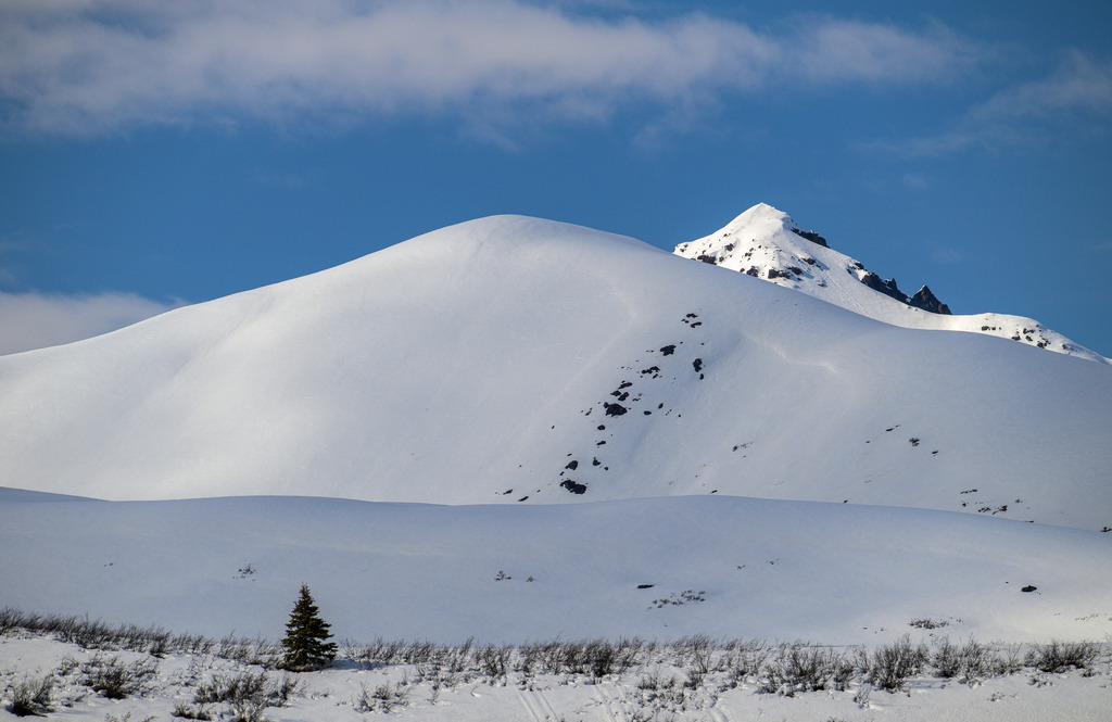 2025-121 | Eine Fahrt auf dem 134 Meilen langen Denali Highway, der vielleicht schönsten Panoramastraße Nordamerikas, eröffnet grandiose Ausblicke auf die Berge und Ausläufer der Alaska Range. - Realisiert mit Pictrs.com