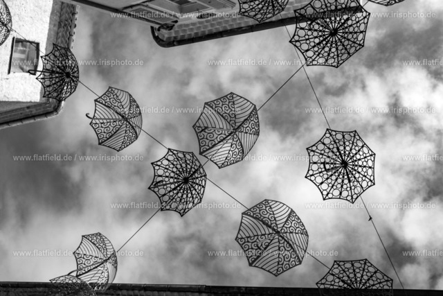 Schirme in der Provence | Straßenfoto | aus Brignoles | Fotografie aus der Provence