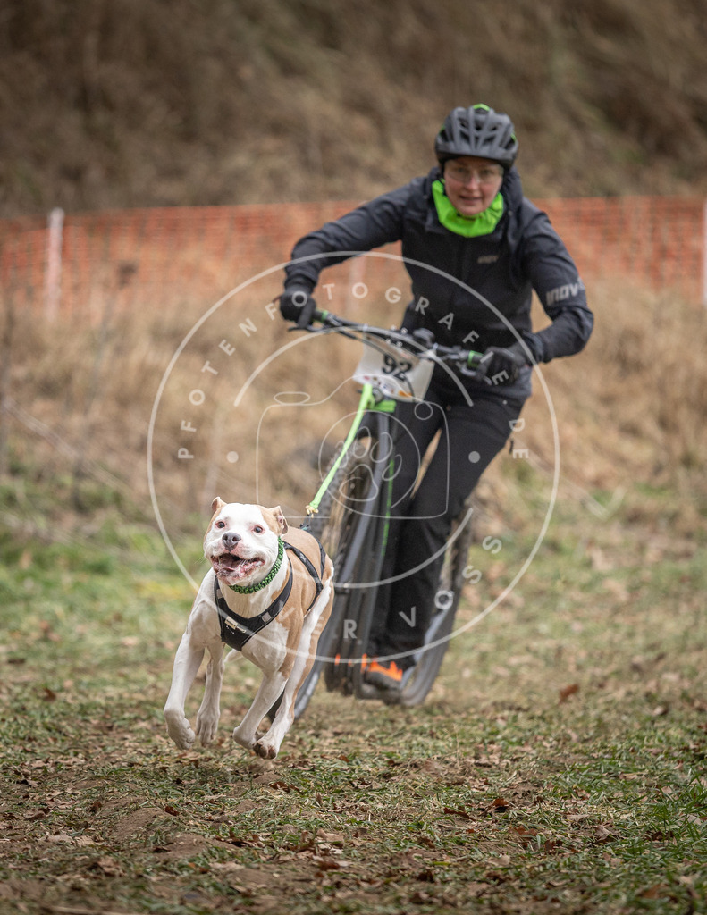 Pfotenfotografie_DV3A6761 | Hundefotografie, Tierfotograf, Pfotenfotografie, Fotoshooting Hund, Hunde Portrait, Hundesport, Hundeportraits, Heideshooting, Hunde, Sportfotograf, Hundefotograf, Turnierhundsport, THS,  - Realisiert mit Pictrs.com