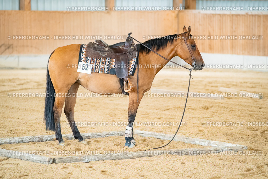 DSC07311 | Pferdegrafie