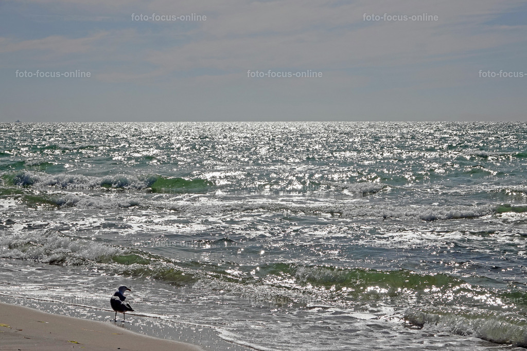 West Beach, Darß | foto-focus-online