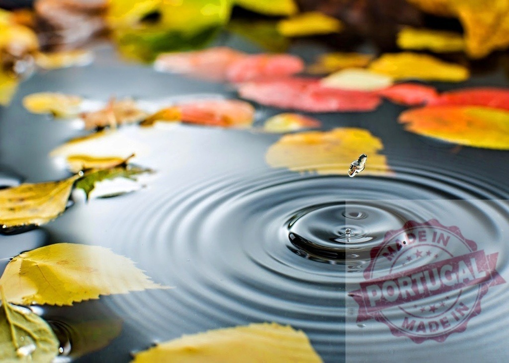 Water drop creating ripple with autumn leaves floating | Water drop creating a ripple on a surface with colorful autumn leaves floating - Realized with Pictrs.com