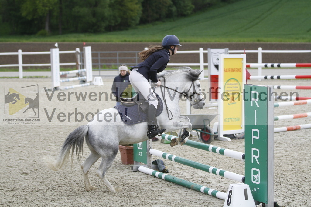 _MG_1251 | equestrian-live-com