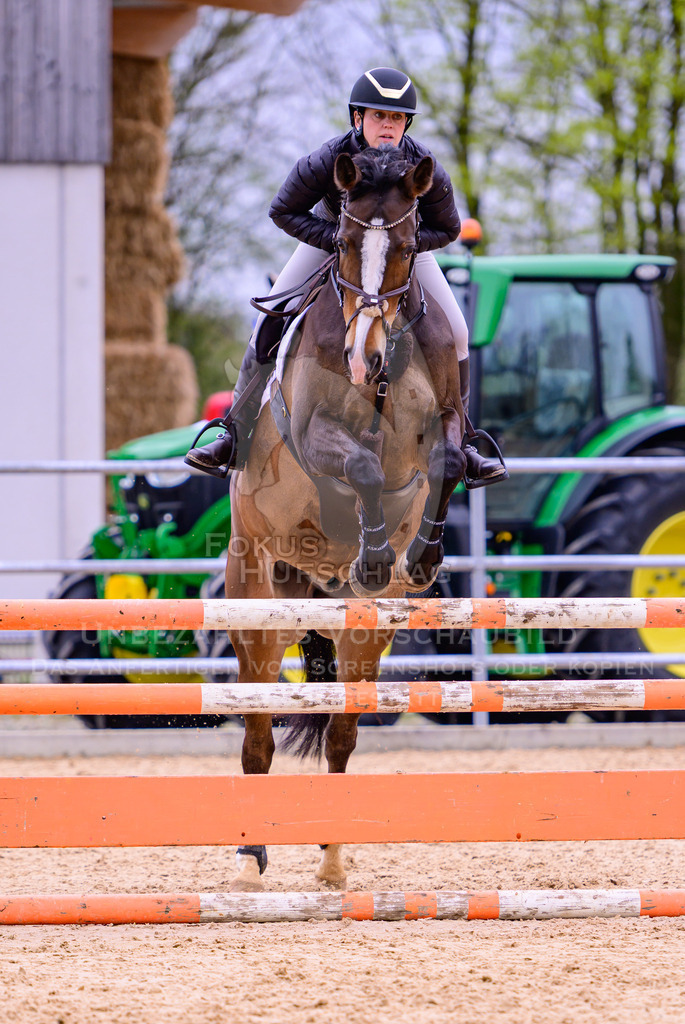 12042026-Mammendorf-Prfg39-0359 | Fokus Hufschlag Fotografie - Realisiert mit Pictrs.com