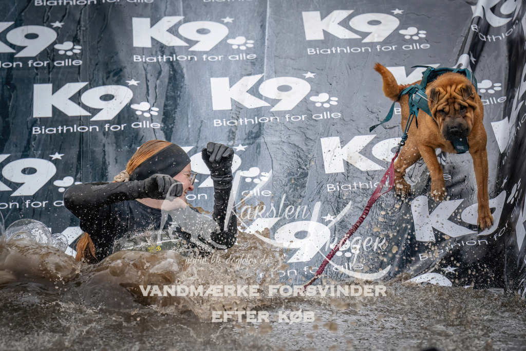 1220_ZZ94904 | kk-dogfotos