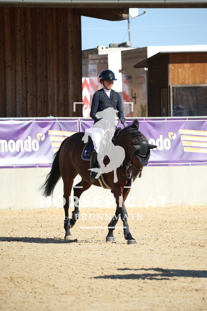 DL2Q2524 | Willkommen bei Brunnmayr - Design & Fotografie – Ihrem Spezialisten für Reitturniere und Pferdeveranstaltungen in Oberösterreich, Salzburg und Bayern! Seit über 17 Jahren sind wir leidenschaftlich dabei.