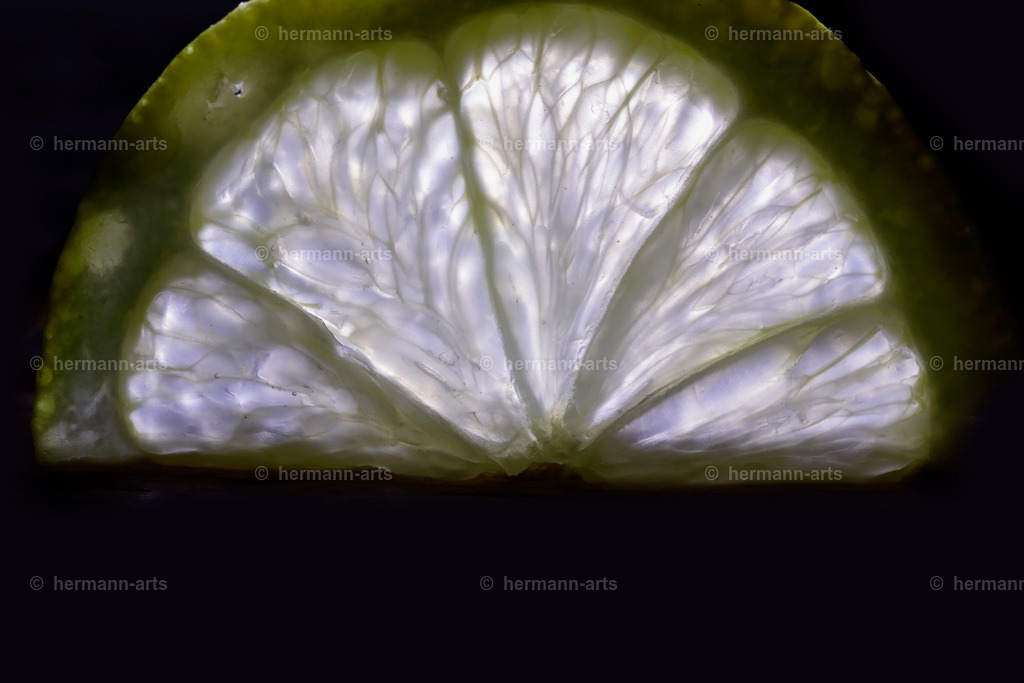 Fruits-Art-041 | Photo Foto Kunst Art schwarzweiss Bilder Rheine Münster Berlin Blumen 