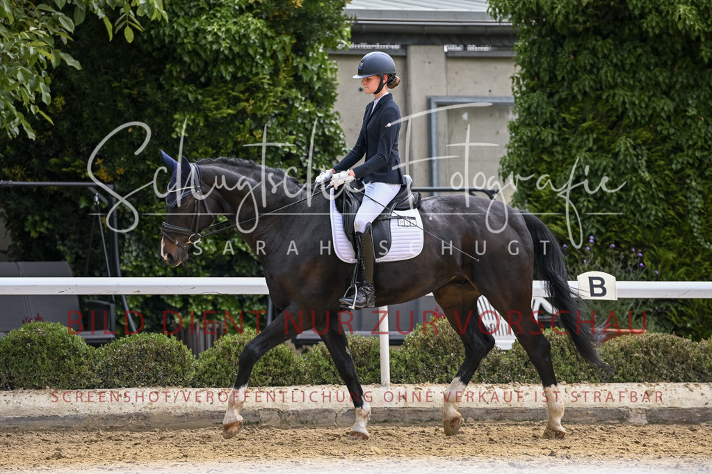 Schugtsche-Aluta25-55.Dressurreiterprf.L1Tr-190 | Schugtsche Fotografie - Realisiert mit Pictrs.com