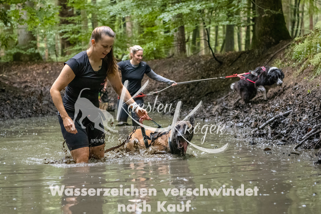 1114_ZZ90252-Bearbeitet-2 | kk-dogfotos