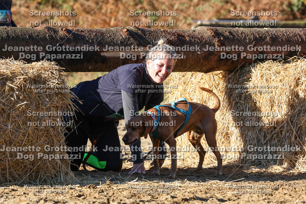 Dog Paparazzi - Strongdog 10-25-1625 | Dog Paparazzi Jeanette Grottendiek Fotografie & Videografie - Realisiert mit Pictrs.com