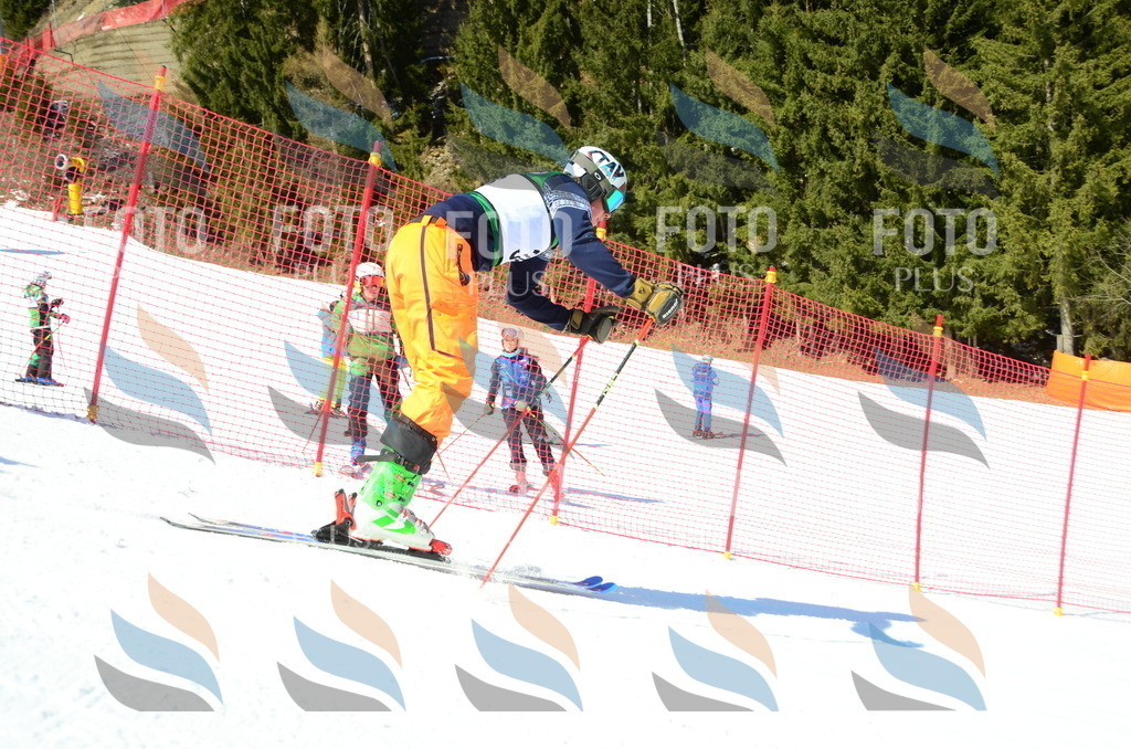 C6994 | holidayphoto