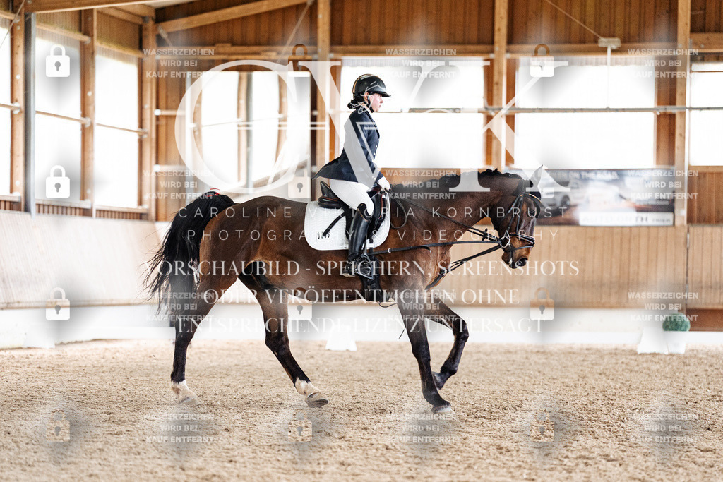 CK901783 | Turnierfotografie Pferdefotografie Trier Rheinland-Pfalz Pferdesport Reitsport Tierfotografie Sportfotografie Pferdevideo Pferdevideografie Equestrianvideography equestrianphotography  - Realisiert mit Pictrs.com