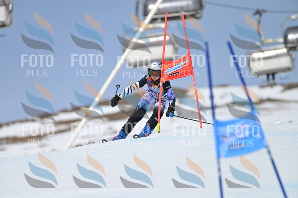 BGV_4023 | holidayphoto