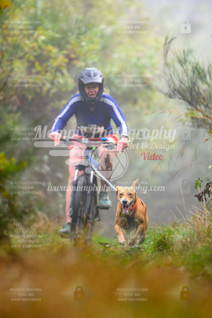 MompixPhotography_20TSB_E4_Bike-154 | PayLife