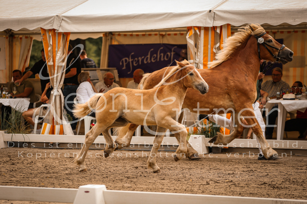 SaSF00111 | Leoni Ertmer Photography - Realisiert mit Pictrs.com