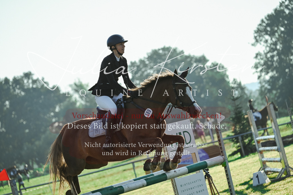 DSC_4022 | Pferde- und Turnierfotografie in Westsachsen. Pferdeportraits, Auftragszeichnungen und intuitive Kunst.