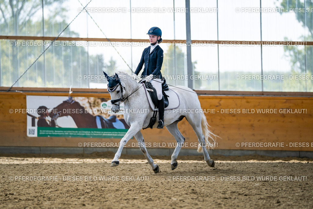 DSC05506 | Pferdegrafie