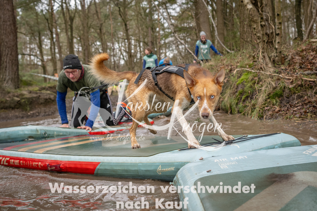 1054_ZZ94925 | kk-dogfotos