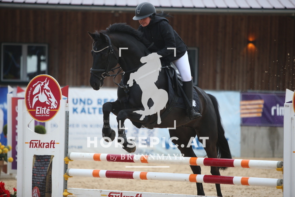 AS8V0471 | Willkommen bei Brunnmayr - Design & Fotografie – Ihrem Spezialisten für Reitturniere und Pferdeveranstaltungen in Oberösterreich, Salzburg und Bayern! Seit über 17 Jahren sind wir leidenschaftlich dabei.