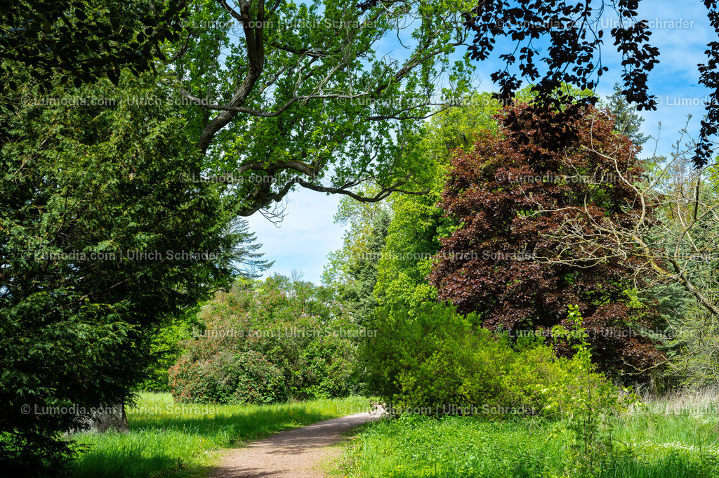 10049-14066 - Landschaftspark Degenershausen | Stockfoto und Bilderpool mit Bildmaterial aus Deutschland, dem Harz, Halberstadt, Quedlinburg, Wernigerode und weltweit. Qualitativ hochwertige und professionelle Fotos anschauen und kaufen. - Realisiert mit Pictrs.com