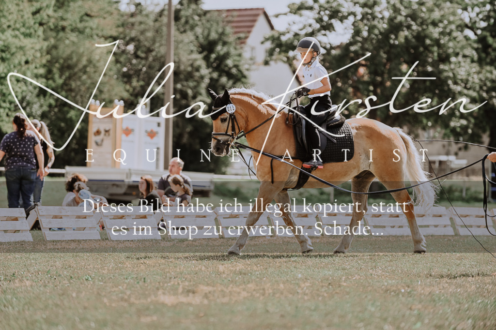 DSC_7756 | Pferde- und Turnierfotografie in Westsachsen. Pferdeportraits, Auftragszeichnungen und intuitive Kunst.