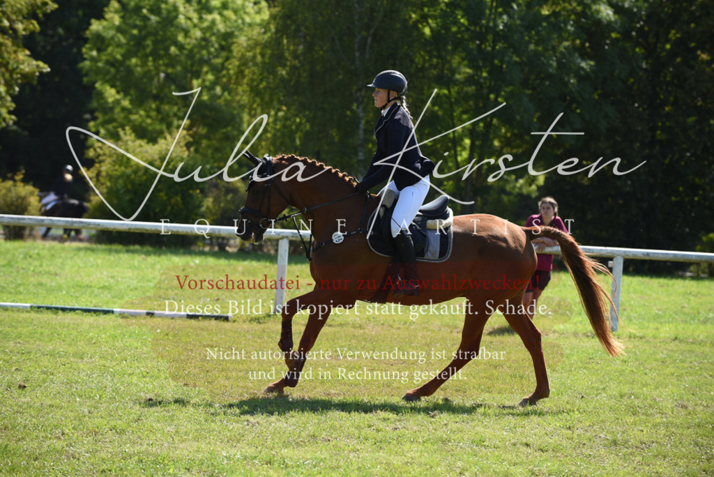 DSC_9214 | Pferde- und Turnierfotografie in Westsachsen. Pferdeportraits, Auftragszeichnungen und intuitive Kunst.