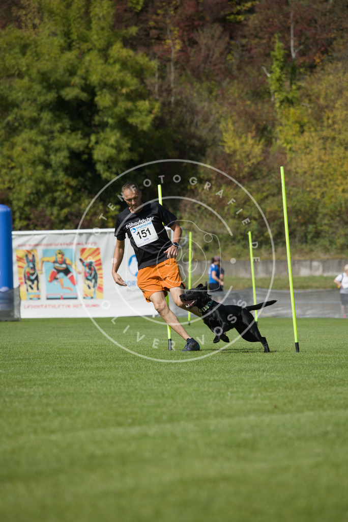 0L8A3159 | Hundefotografie, Tierfotograf, Pfotenfotografie, Fotoshooting Hund, Hunde Portrait, Hundesport, Hundeportraits, Heideshooting, Hunde, Sportfotograf, Hundefotograf, Turnierhundsport, THS,  - Realisiert mit Pictrs.com