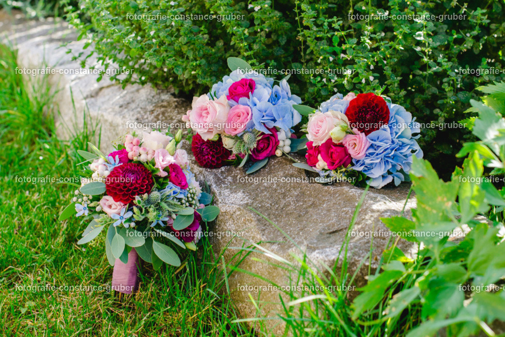 1006 | Fotografie Constance Gruber - Realisiert mit Pictrs.com