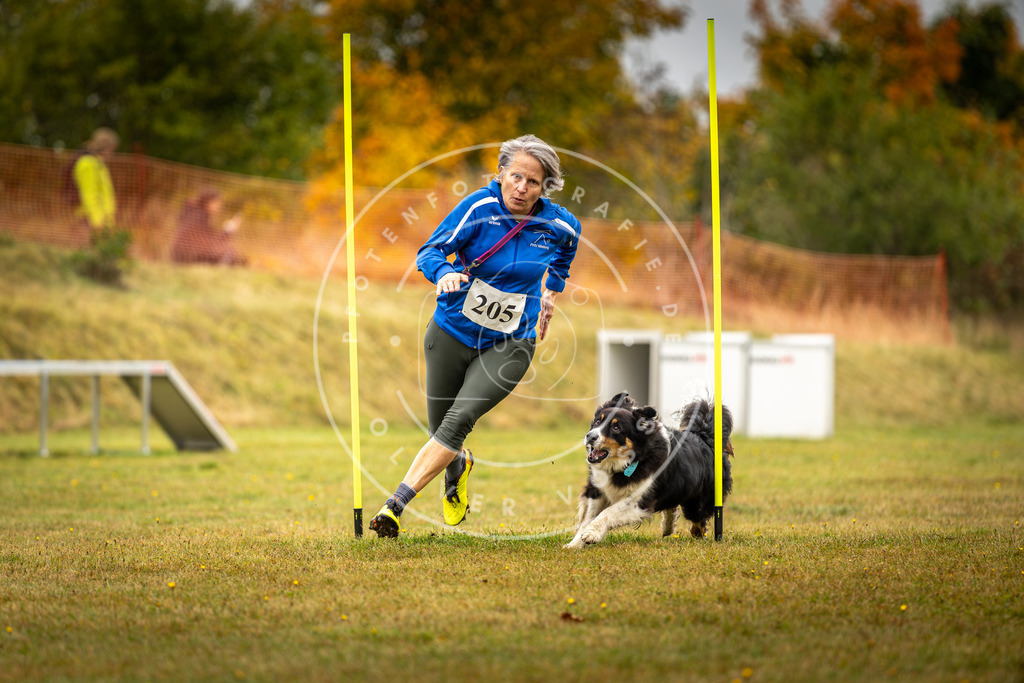 Pfotenfotografie_DV3A2108 | Hundefotografie, Tierfotograf, Pfotenfotografie, Fotoshooting Hund, Hunde Portrait, Hundesport, Hundeportraits, Heideshooting, Hunde, Sportfotograf, Hundefotograf, Turnierhundsport, THS,  - Realisiert mit Pictrs.com