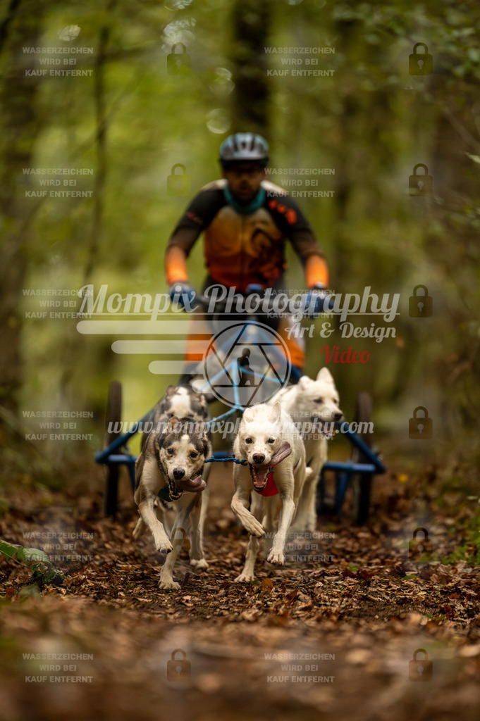 TSB_2023_E1_Kart_Rig-10 | PayLife
